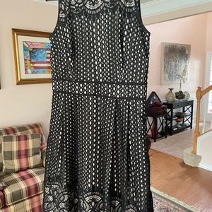 Black lace over tan sheath